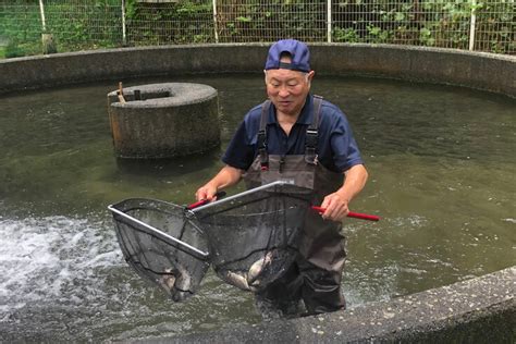 滑床養魚場